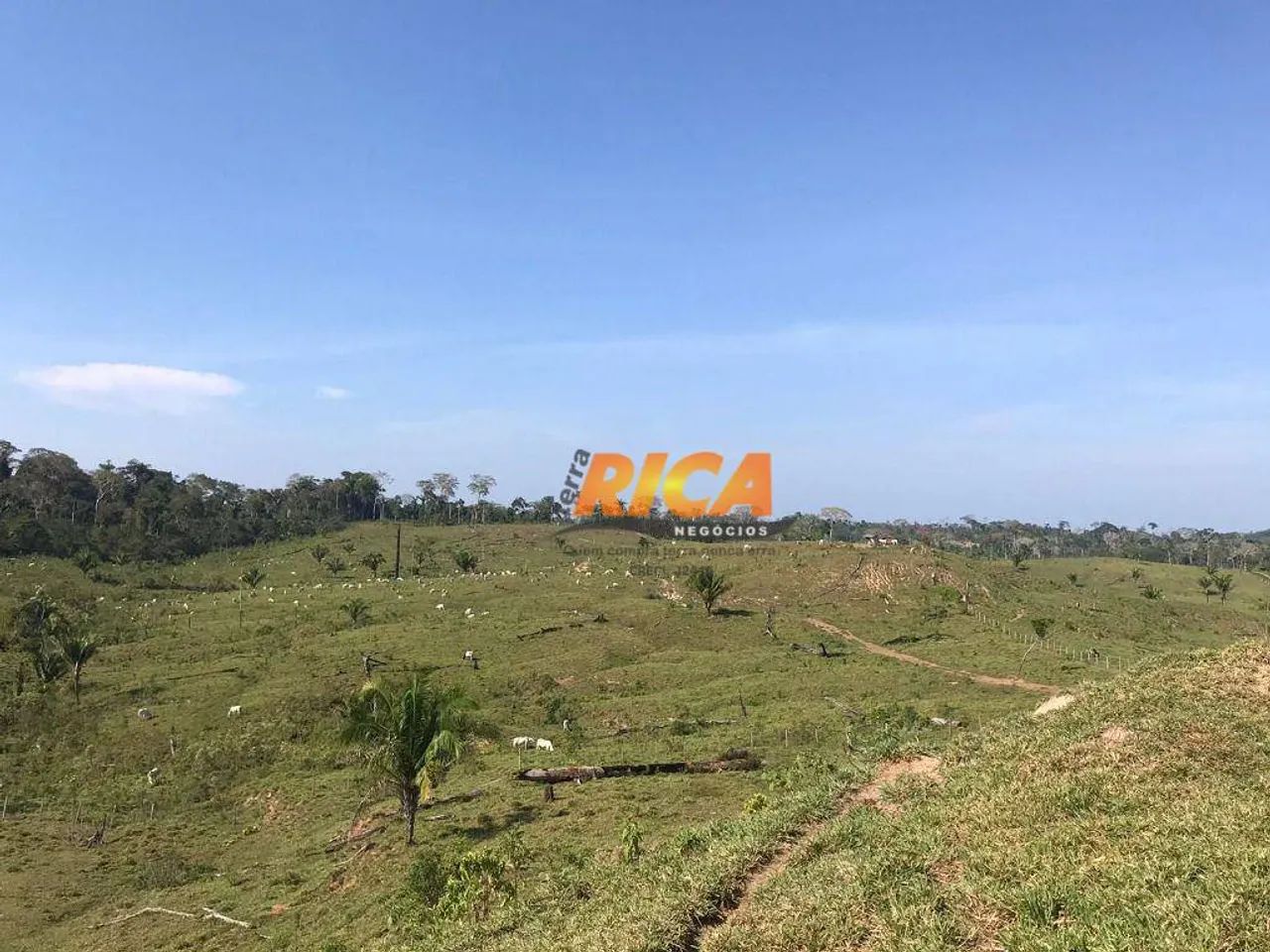 Excelente fazenda à venda, com 814,30 hectares no município Sena Madureira/AC - Foto 4