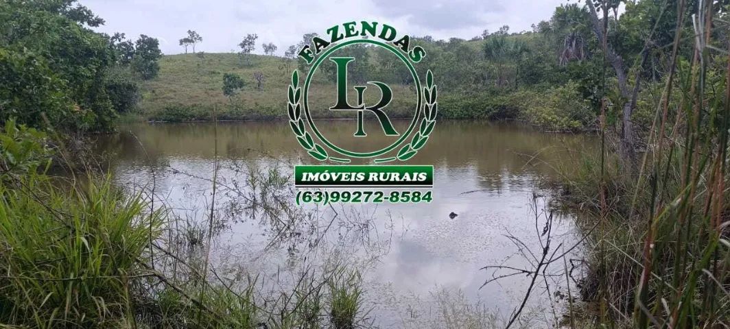 Fazenda dupla Aptidão 65 Alqueires - Foto 3