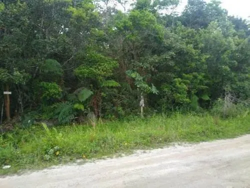 Terreno para chácara no bairro Paranapuã, em Itanhaém, litoral sul de São Paulo,
