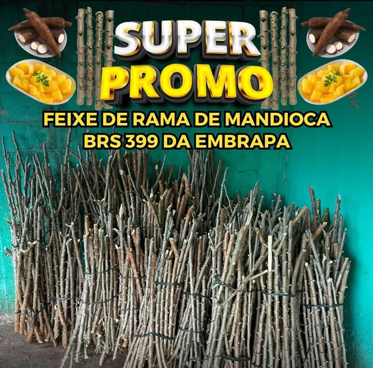Rama mandioca 