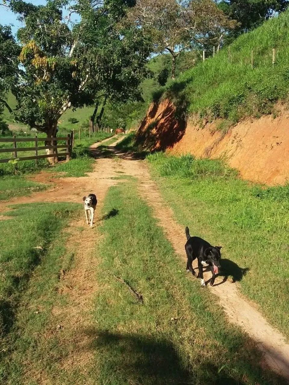Terreno  em São Roque à Venda com Negociação Direta com o Proprietário