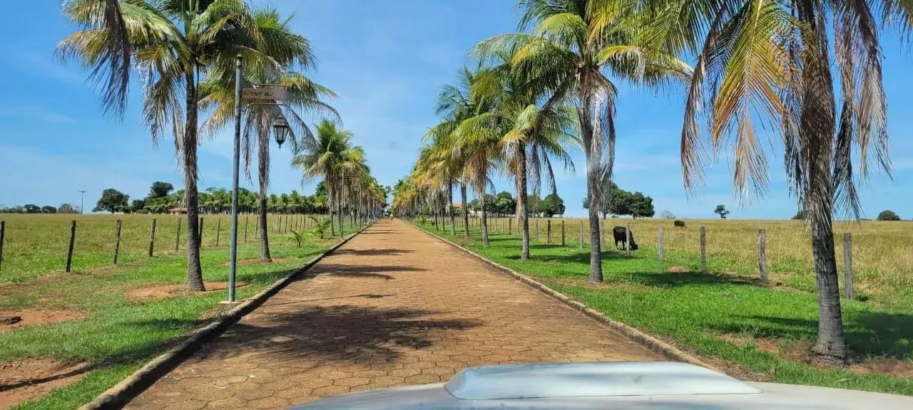 FAZENDA 217 ALQUEIRES MUNDO NOVO-GO