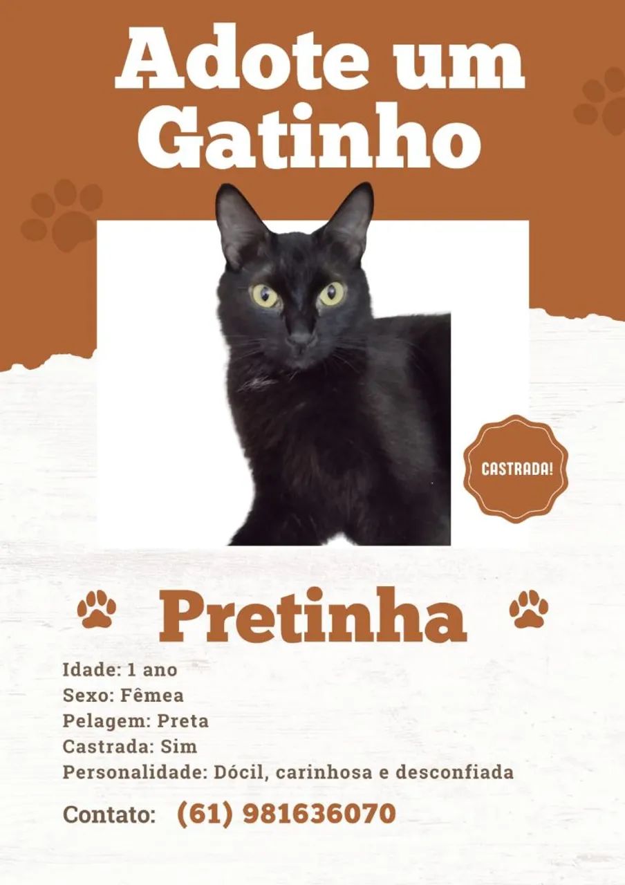 Doam-se gatinhas - Foto 2