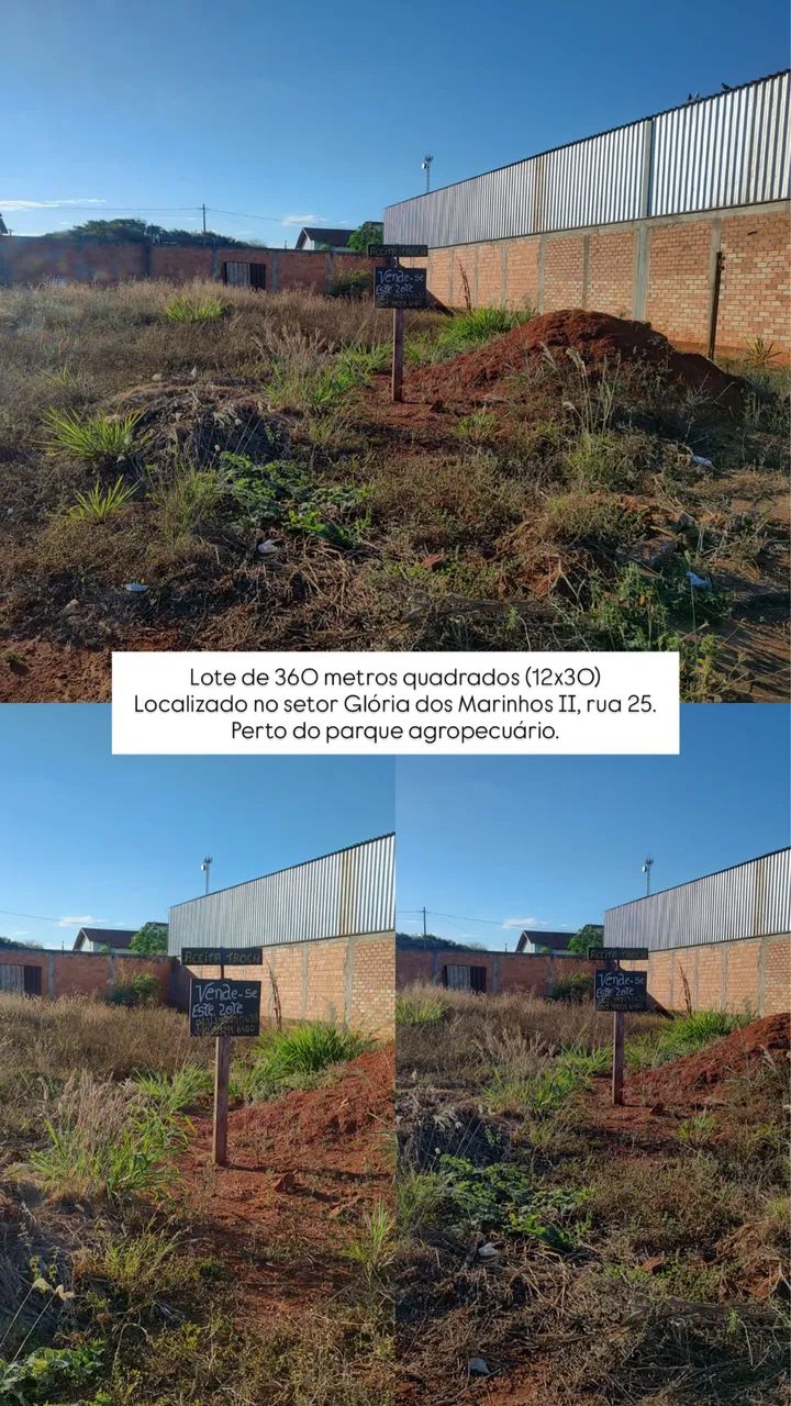 VENDE-SE LOTES EM NOVA GLÓRIA 