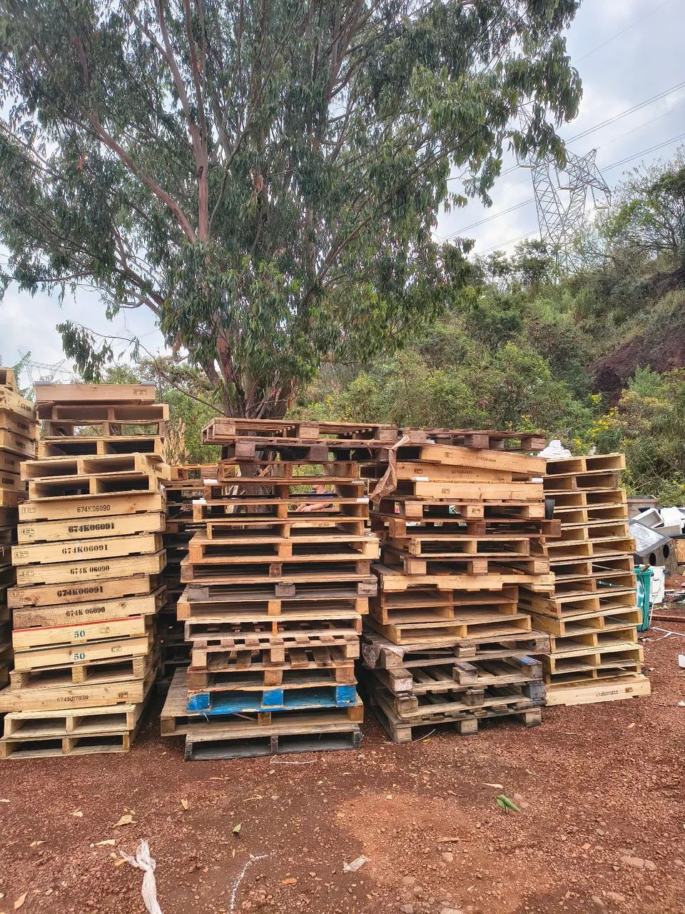 Pallets Plásticos  & Madeira USADOS - Foto 2