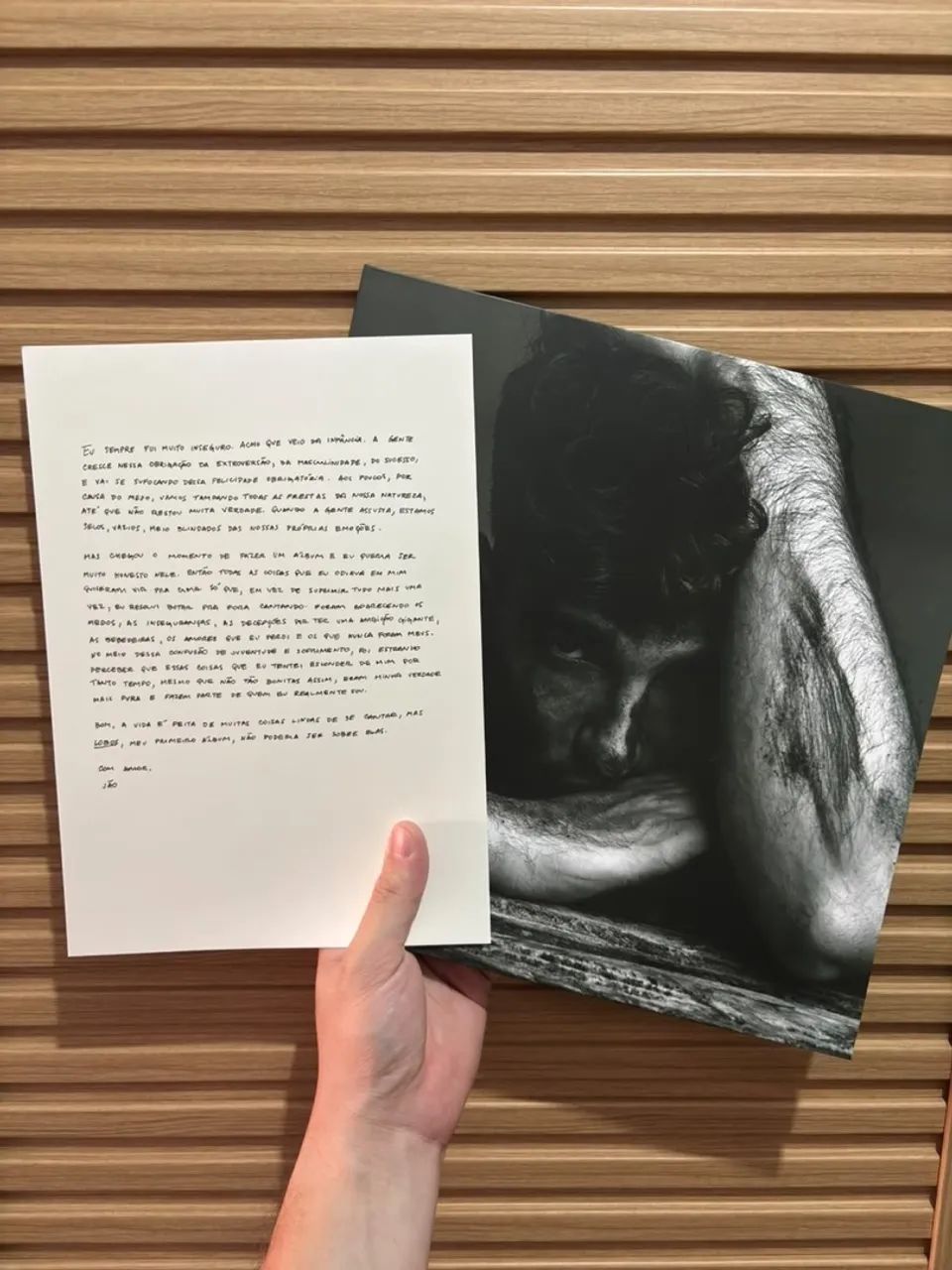 Vinil Lobos - Jão - Foto 4