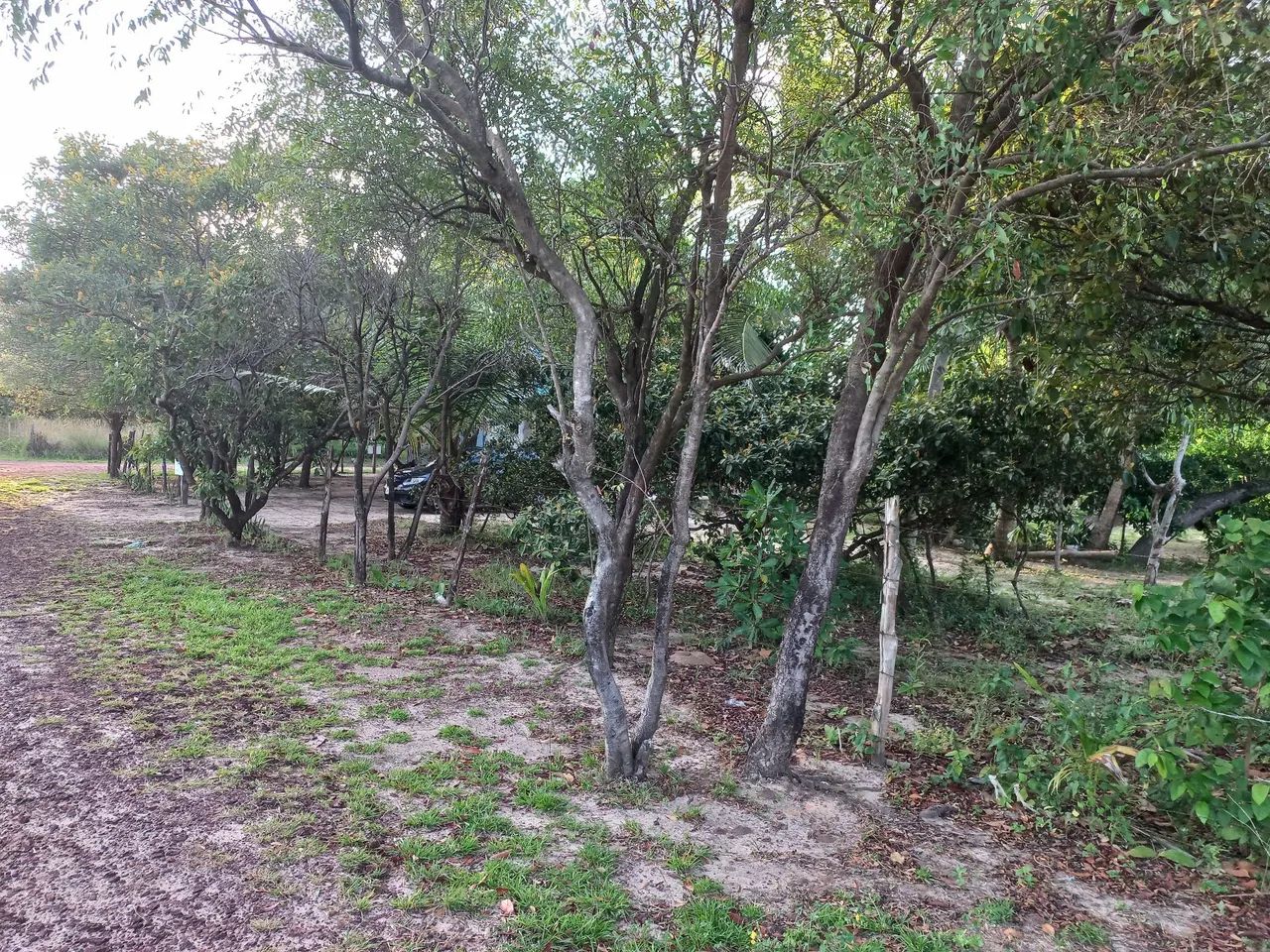 Casa em Água boa no Marajó  - Foto 3