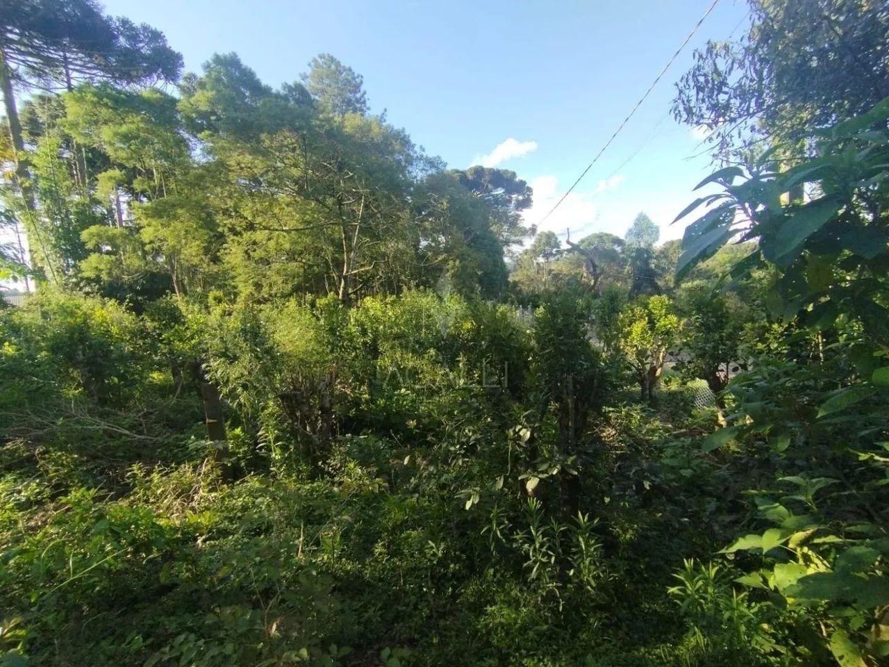 Ótima Casa com 2 dormitórios à venda, DORIZON , MALLET - PR - Foto 5