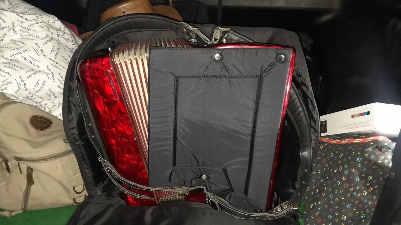 Acordeon  - Foto 5