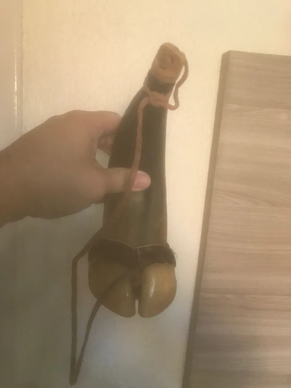 Chifre artesanato  - Foto 5