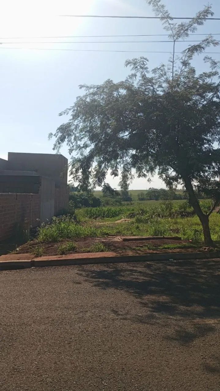 Terreno inteiro a venda ou troca - Foto 2