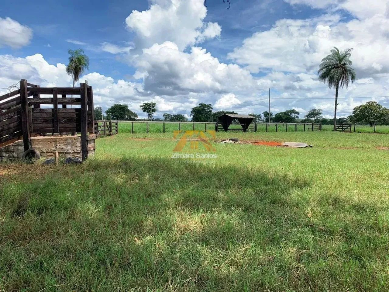 Fazenda com 53,5 Alqueires - Zona Rural - Aparecida do Rio Negro/TO - Foto 7