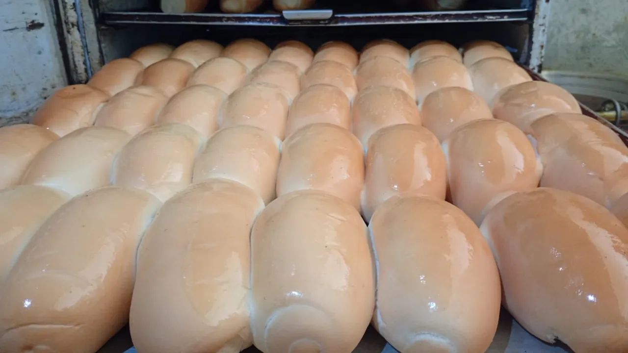 Fornecemos pães  - Foto 4