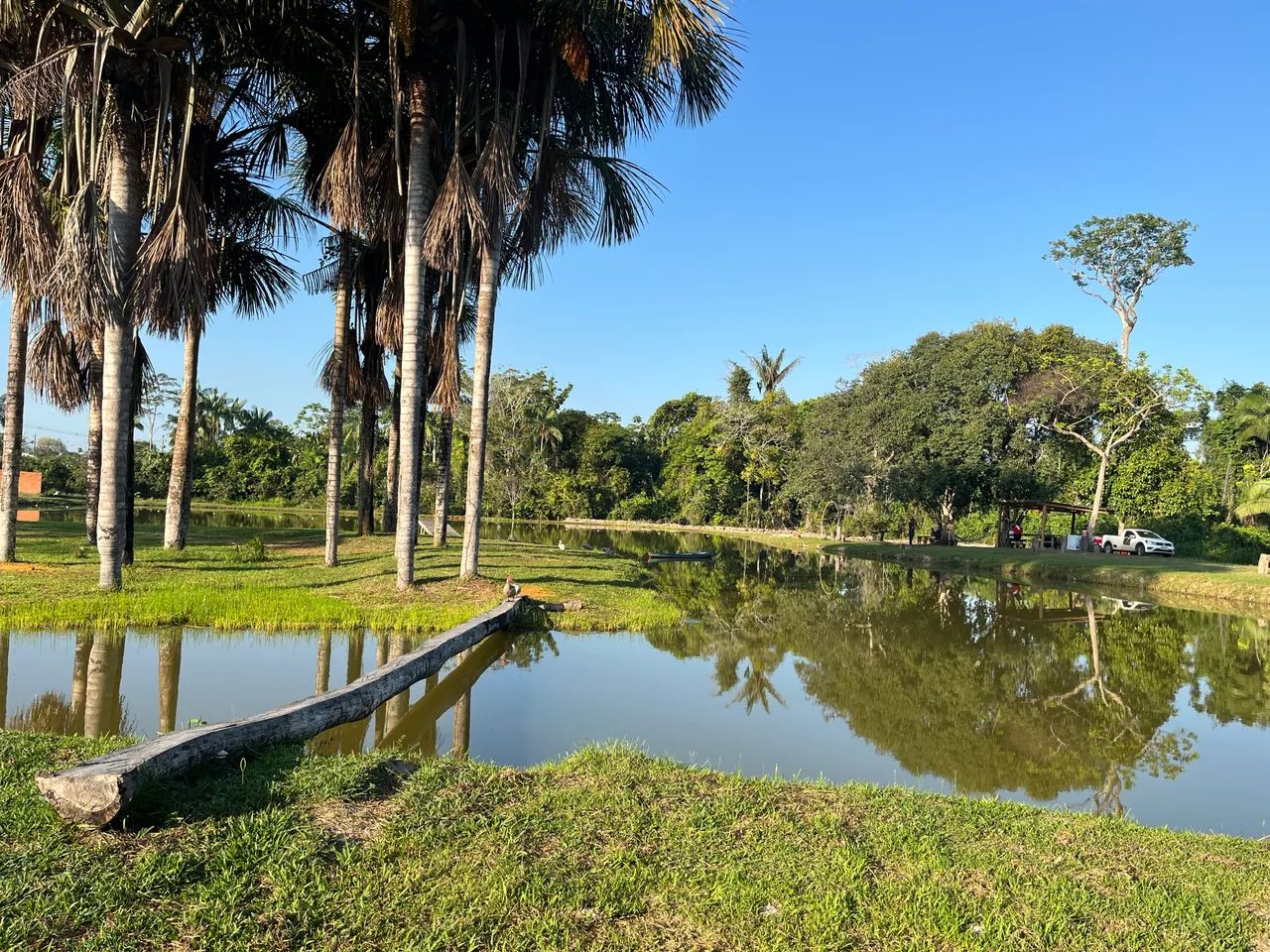 Chácara para alugar - Foto 2