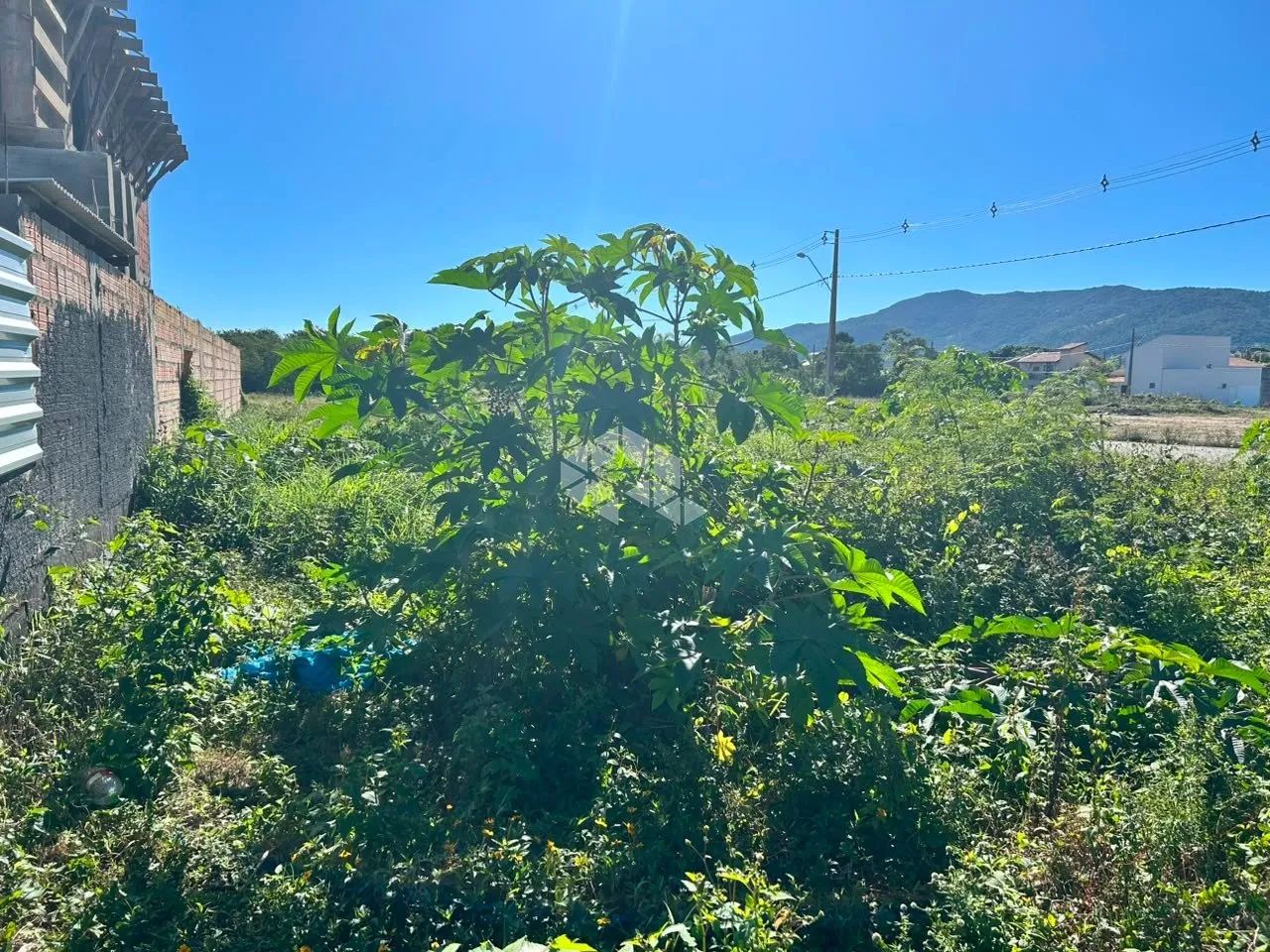 TERRENO À VENDA NO CARIANOS EM FLORIANÓPOLIS COM 444 M² - Foto 4