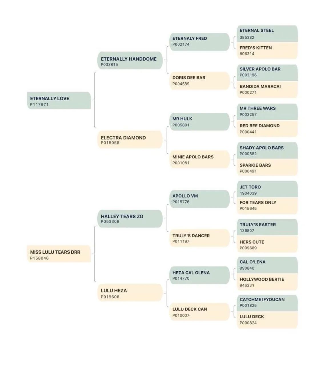Cavalo de Esquerda PO - Foto 3