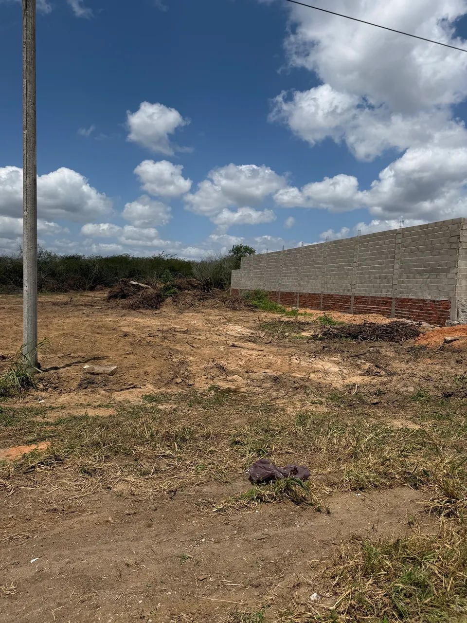 Terreno na BR 406 - Foto 4