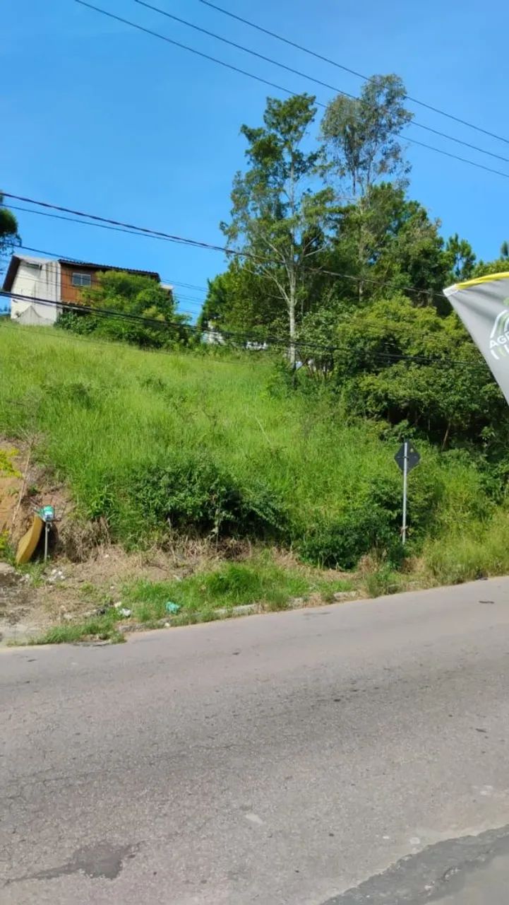 Foto - Florianópolis - Capoeiras