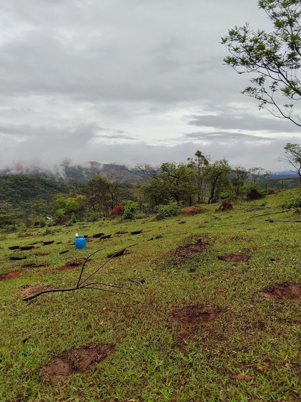 Terreno de 1000 metros em moeda a venda 