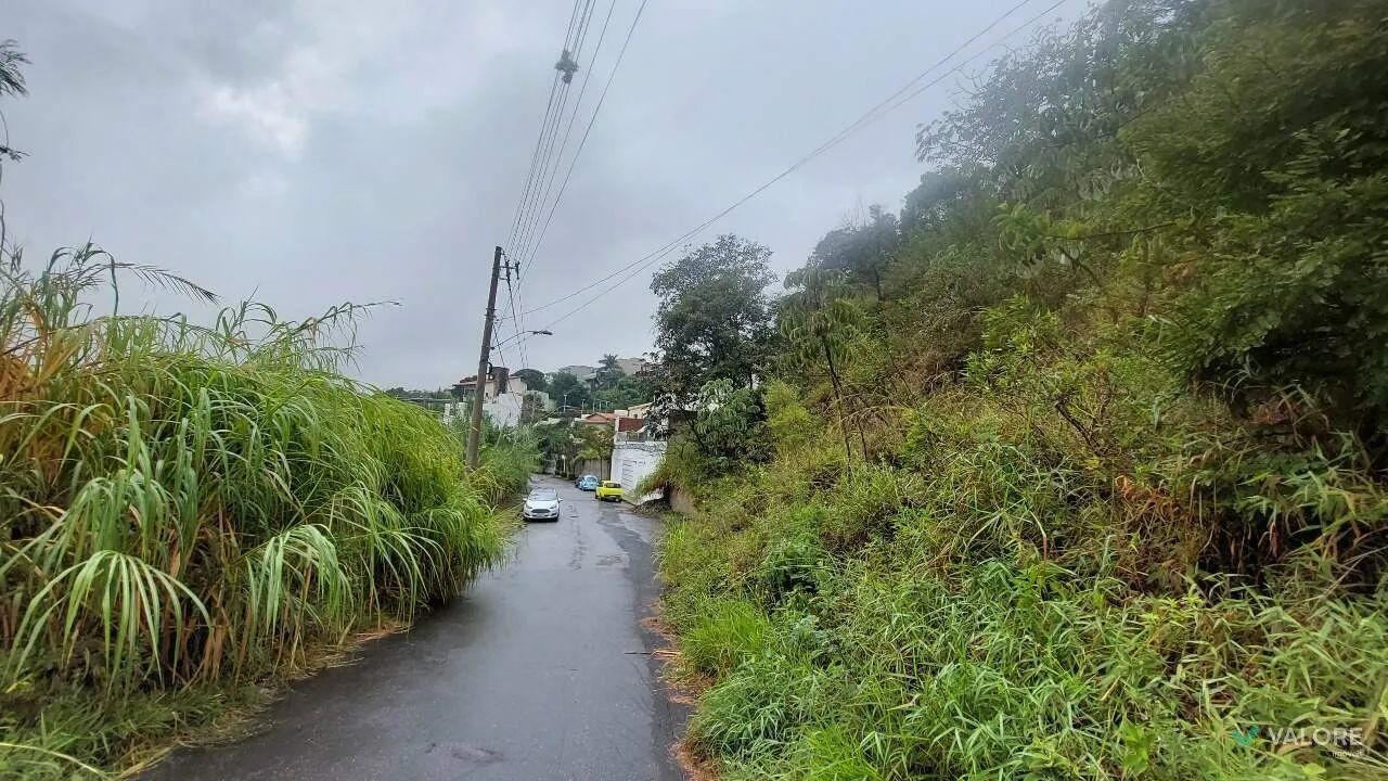 Lote Bairro - Comiteco - Foto 2