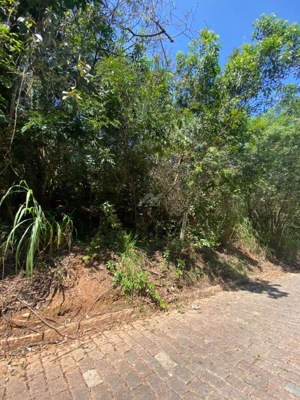 terreno - Sousas - Campinas - Foto 3