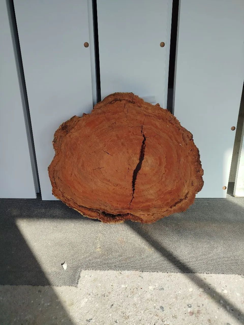 Bolacha de peroba
