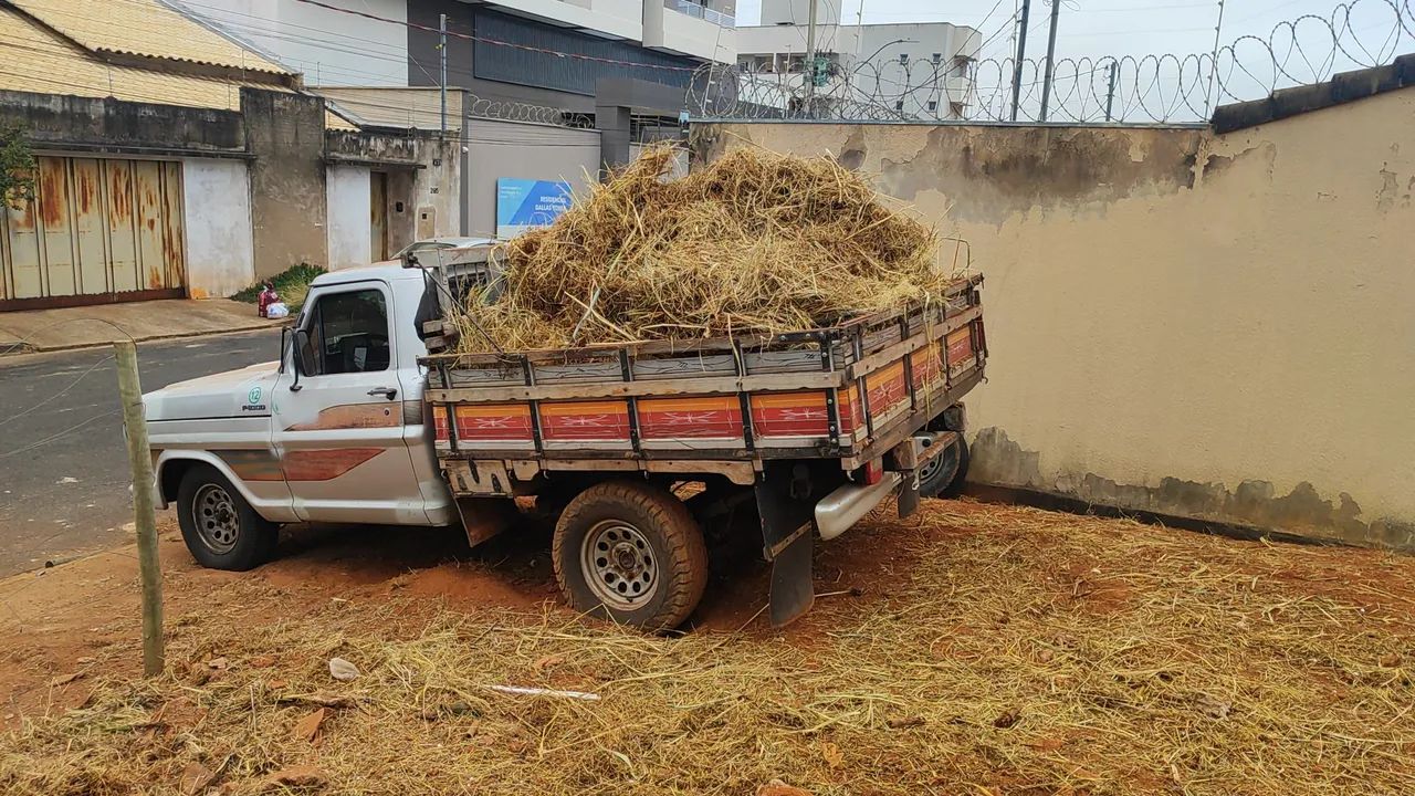 Pequenos fretes e retirada de entulho . - Foto 6
