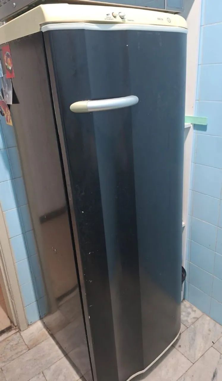 Geladeira Electrolux Degelo Prático  - Foto 5