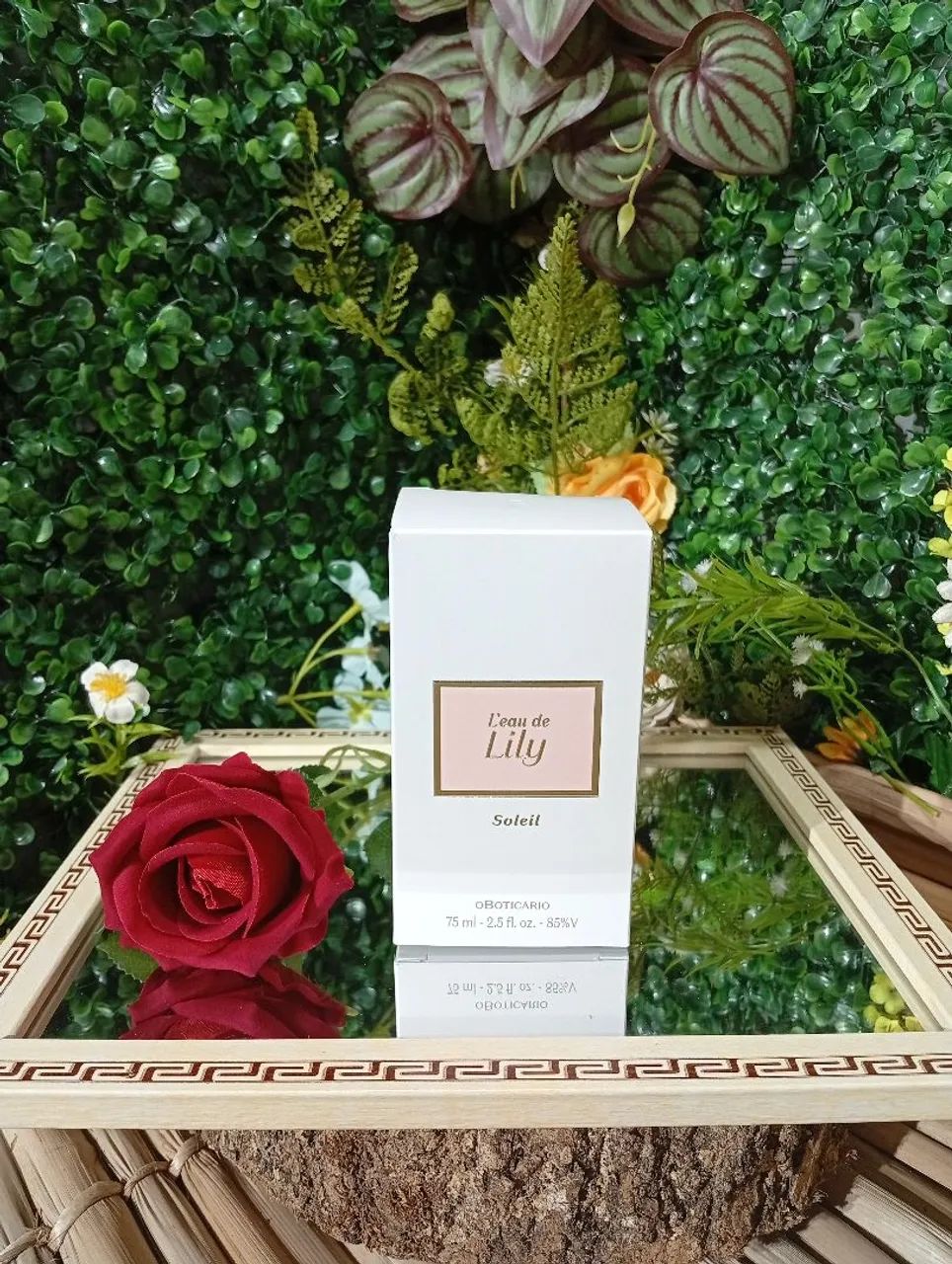 Lily Soleil (Loja On-line de Presentes) - Beleza e Cuidados