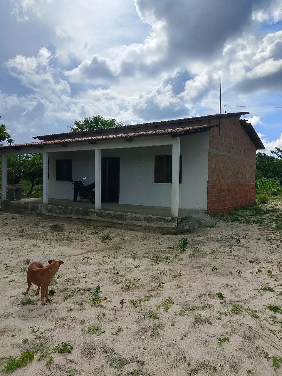 Vendo ou troco sítio em trairi  - Foto 3