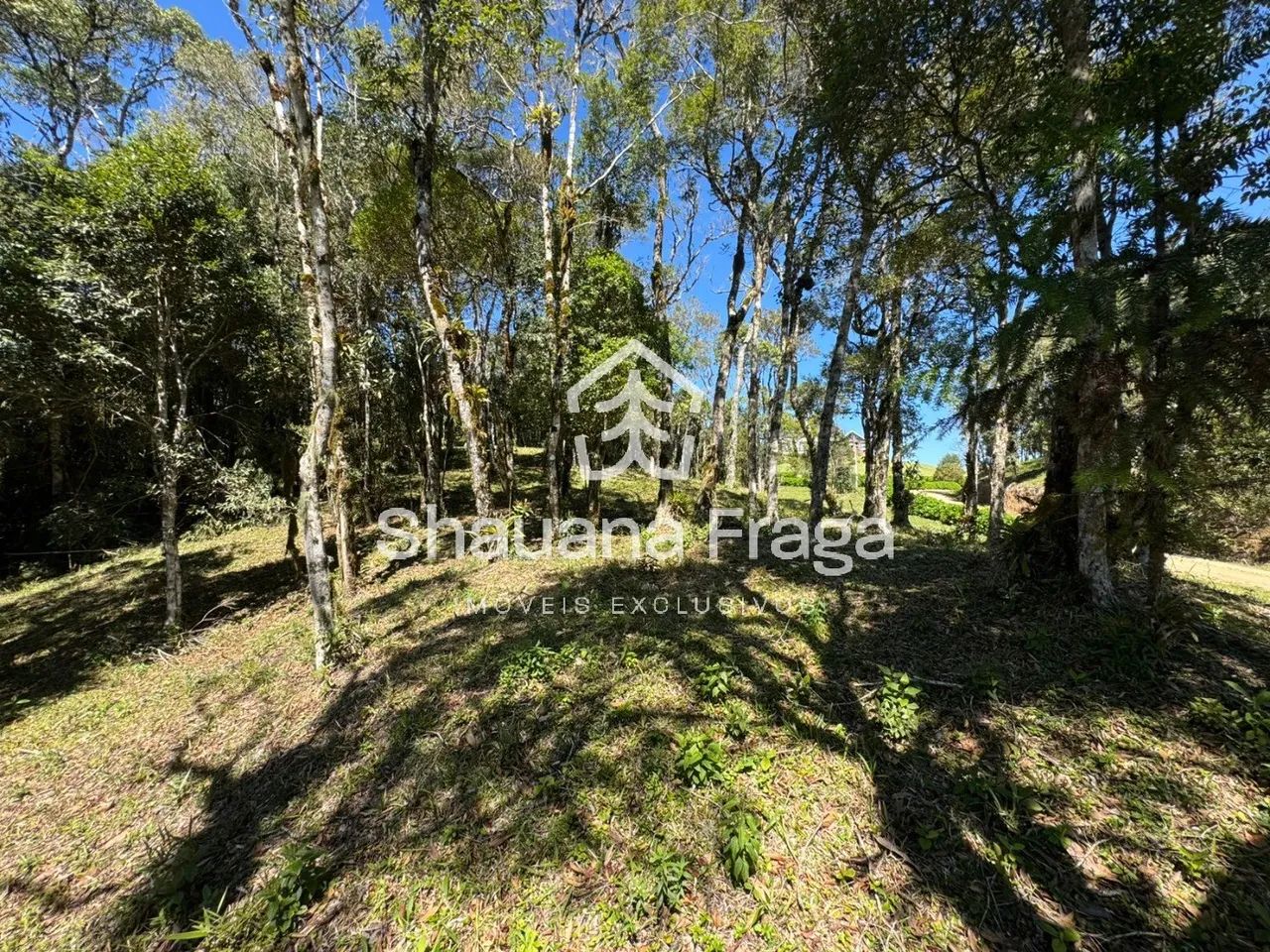 TERRENO RURAL em RANCHO QUEIMADO - SC, QUEIMADA GRANDE - Foto 3