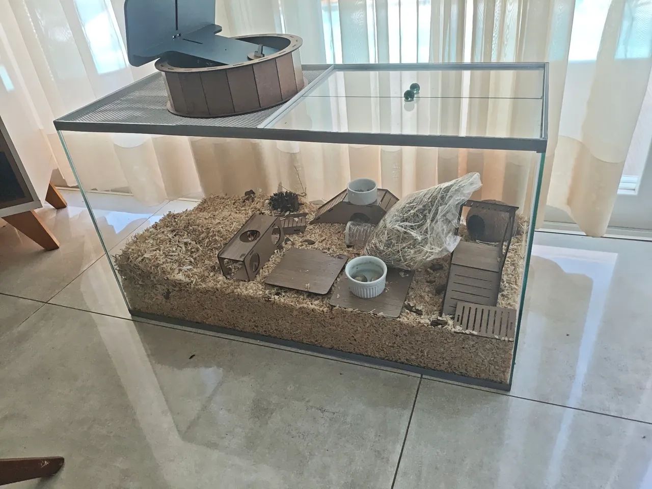 Caixa de vidro para hamster 