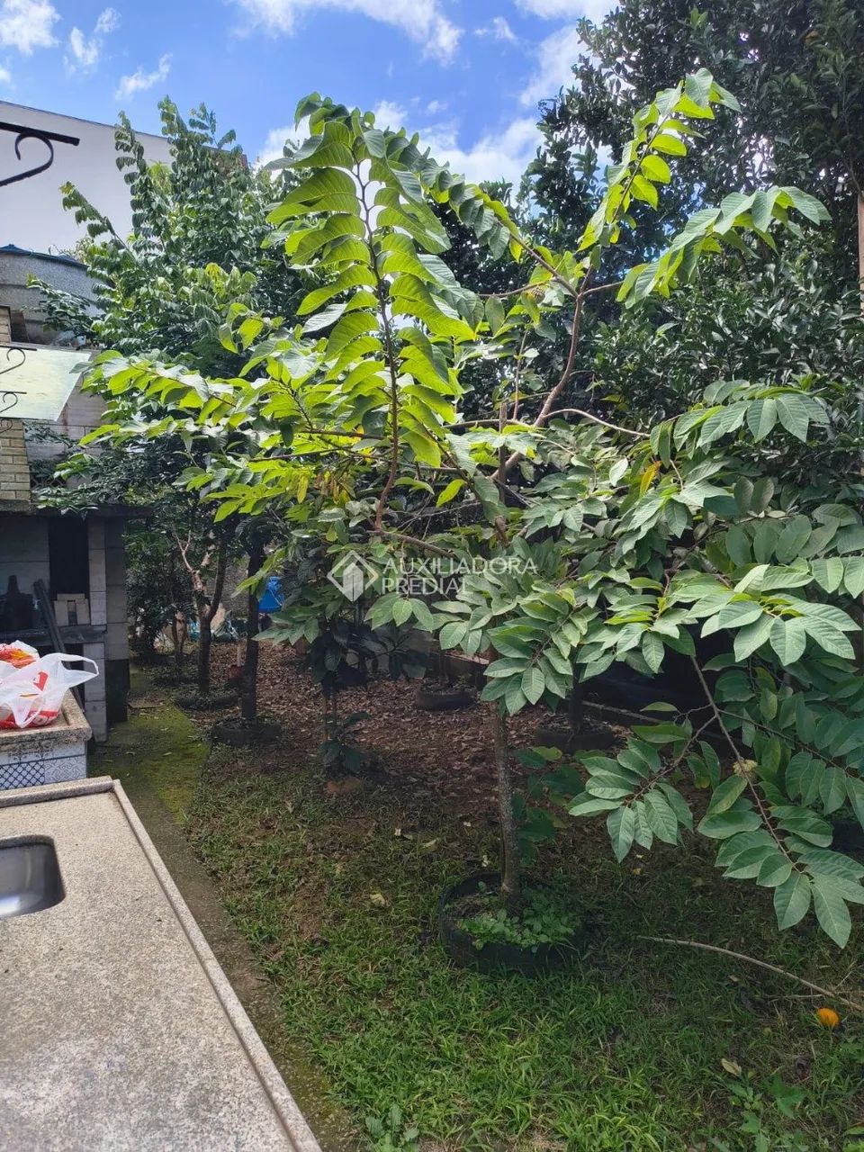 LINDA CASA DE 60 M2 COM 1 DORMITÓRIOS NO BAIRRO ARAÇATUBA, IMBITUBA SC - Foto 3