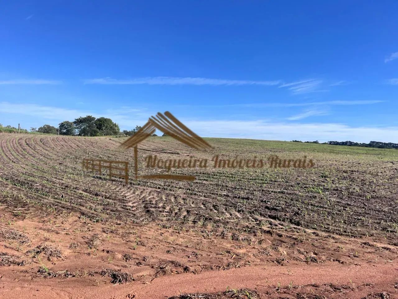 Fazenda com 240 alqueires em Avaré/SP - Foto 3