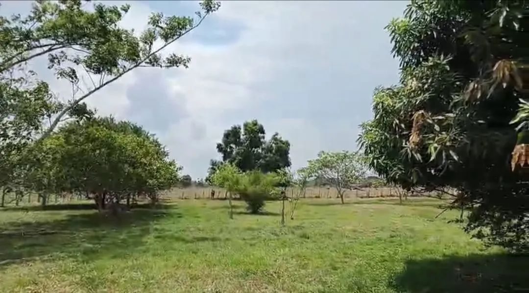 Vendo Chácara no Vila Acre - Foto 5