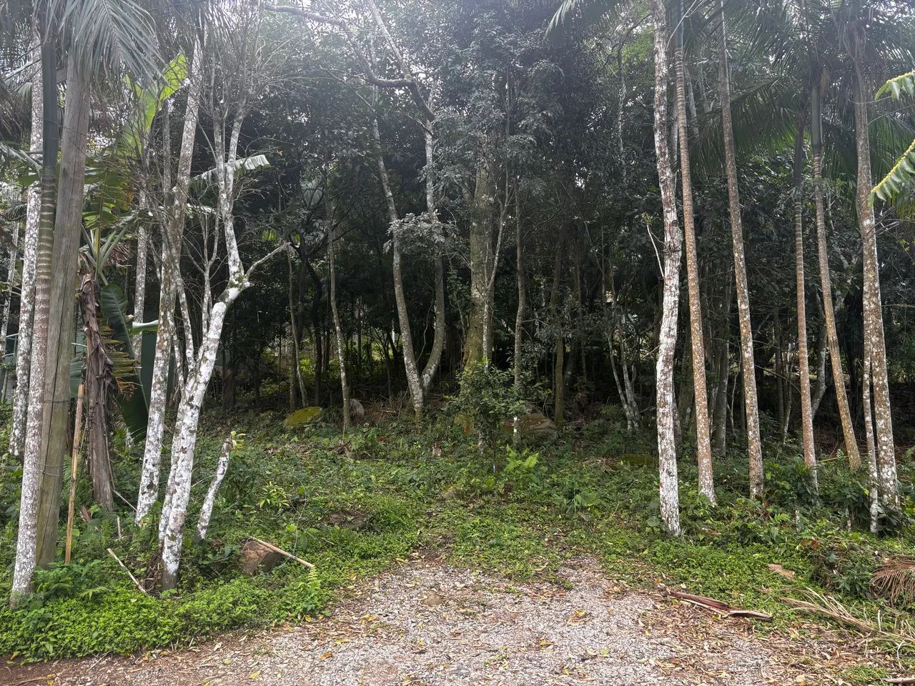Terreno no Canto da Lagoa - Foto 4