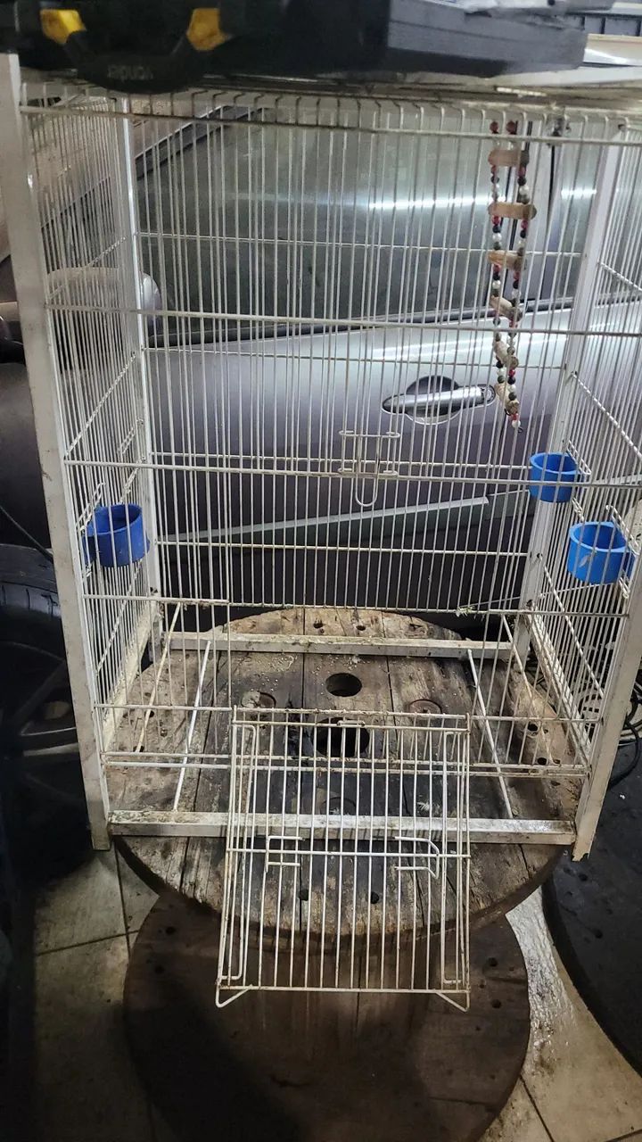 Gaiolas para pássaros 