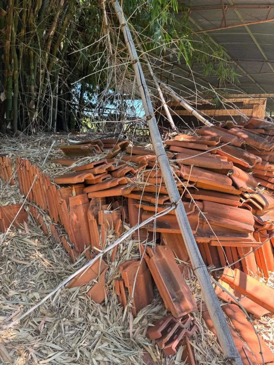 Telha Romana - Foto 5