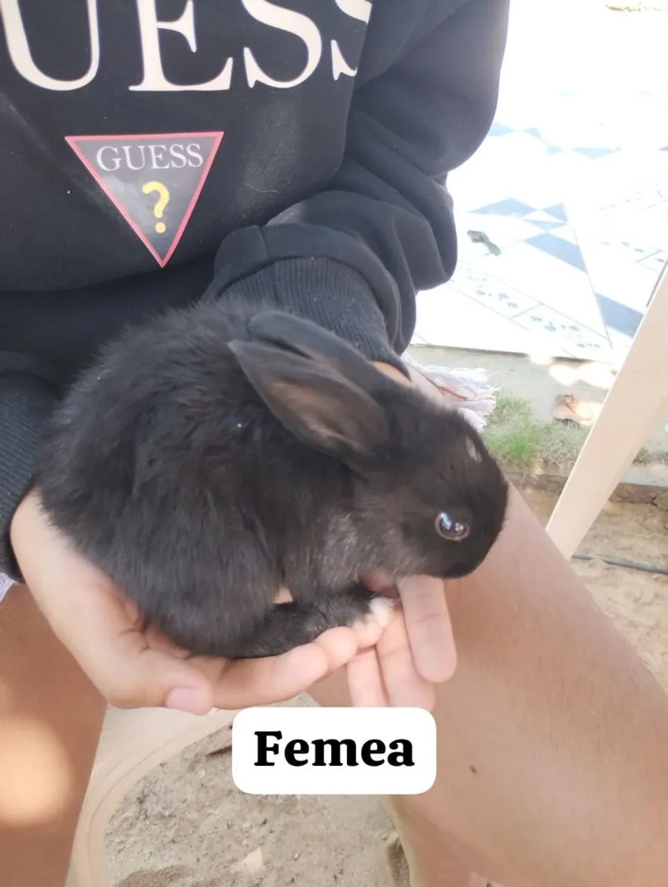 Vendo  - Foto 5