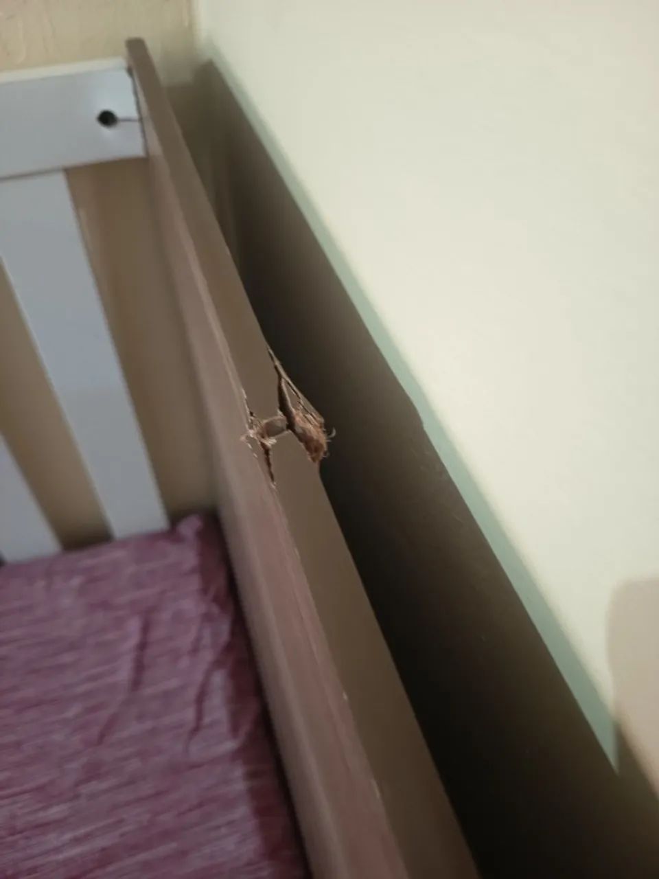 Berço - Retirar no Benguí - Foto 2