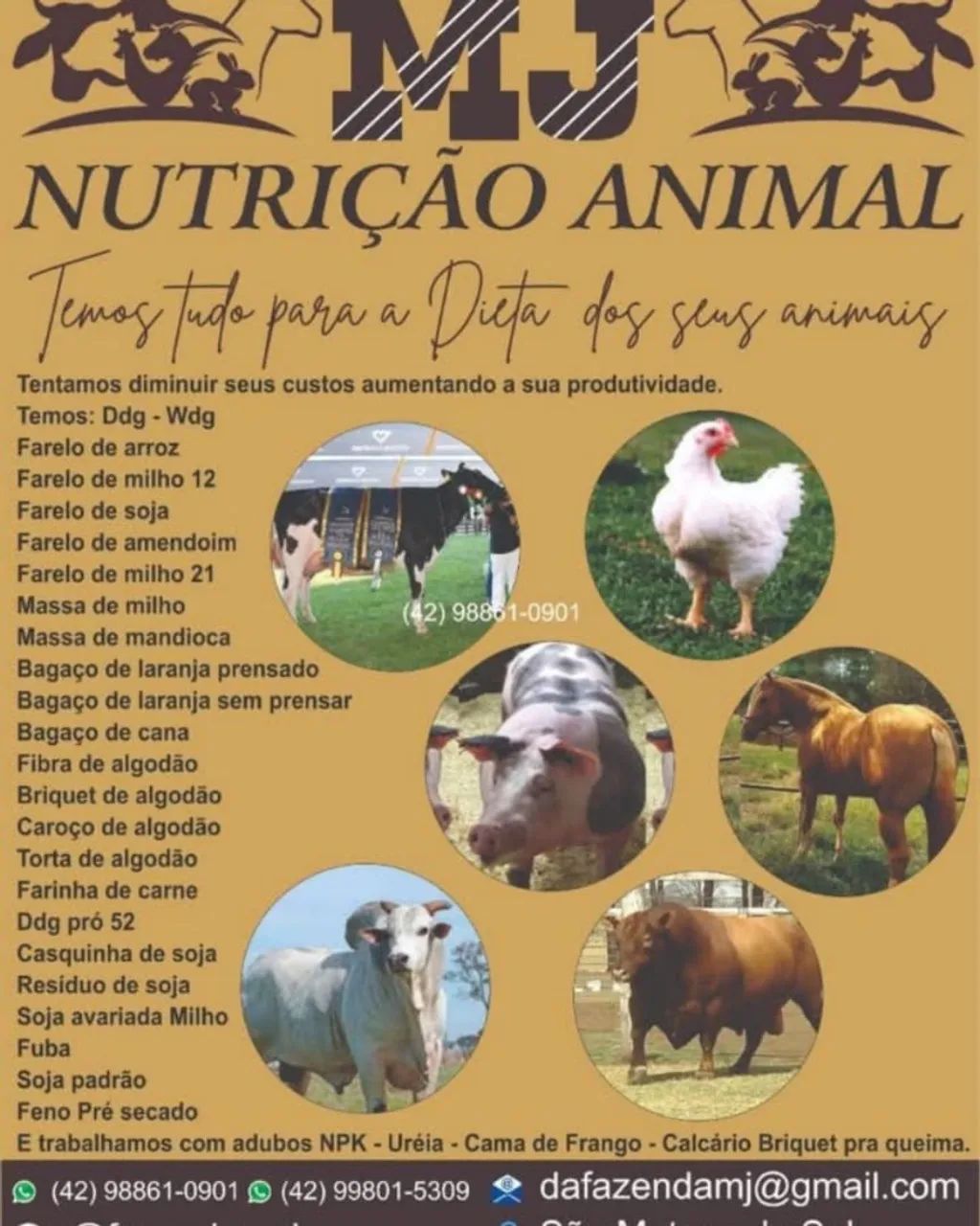Bagaço de laranja 