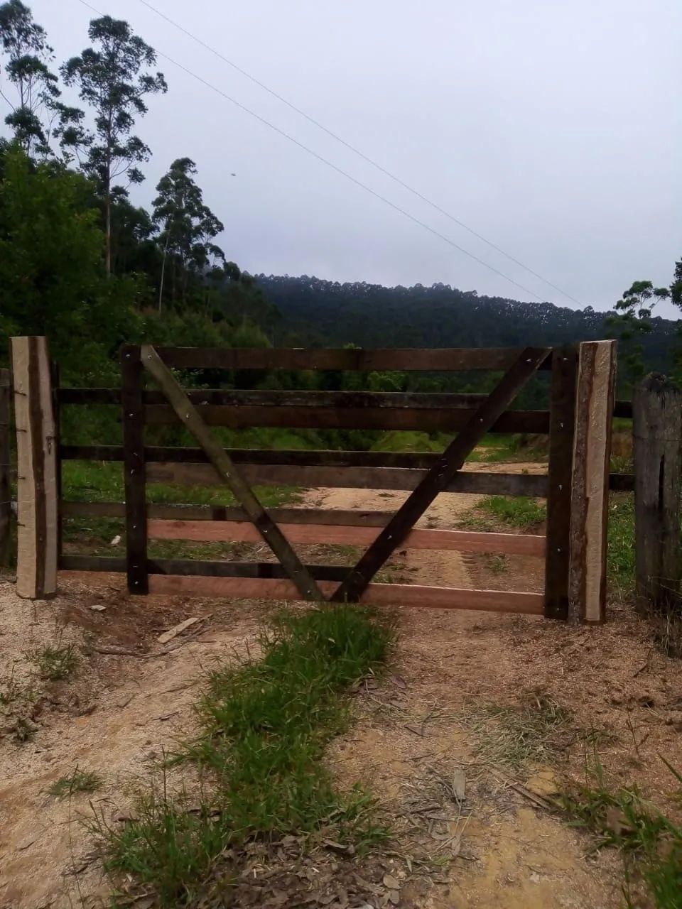 SÍTIO RURAL em PARAIBUNA - SP, CEDRO - Foto 2
