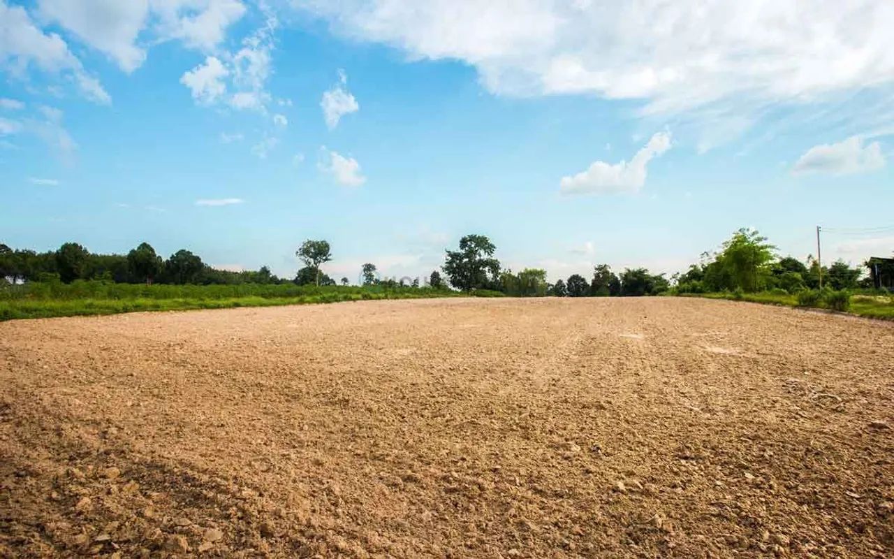 Fazenda à venda na região do Prata - MT - Foto 5