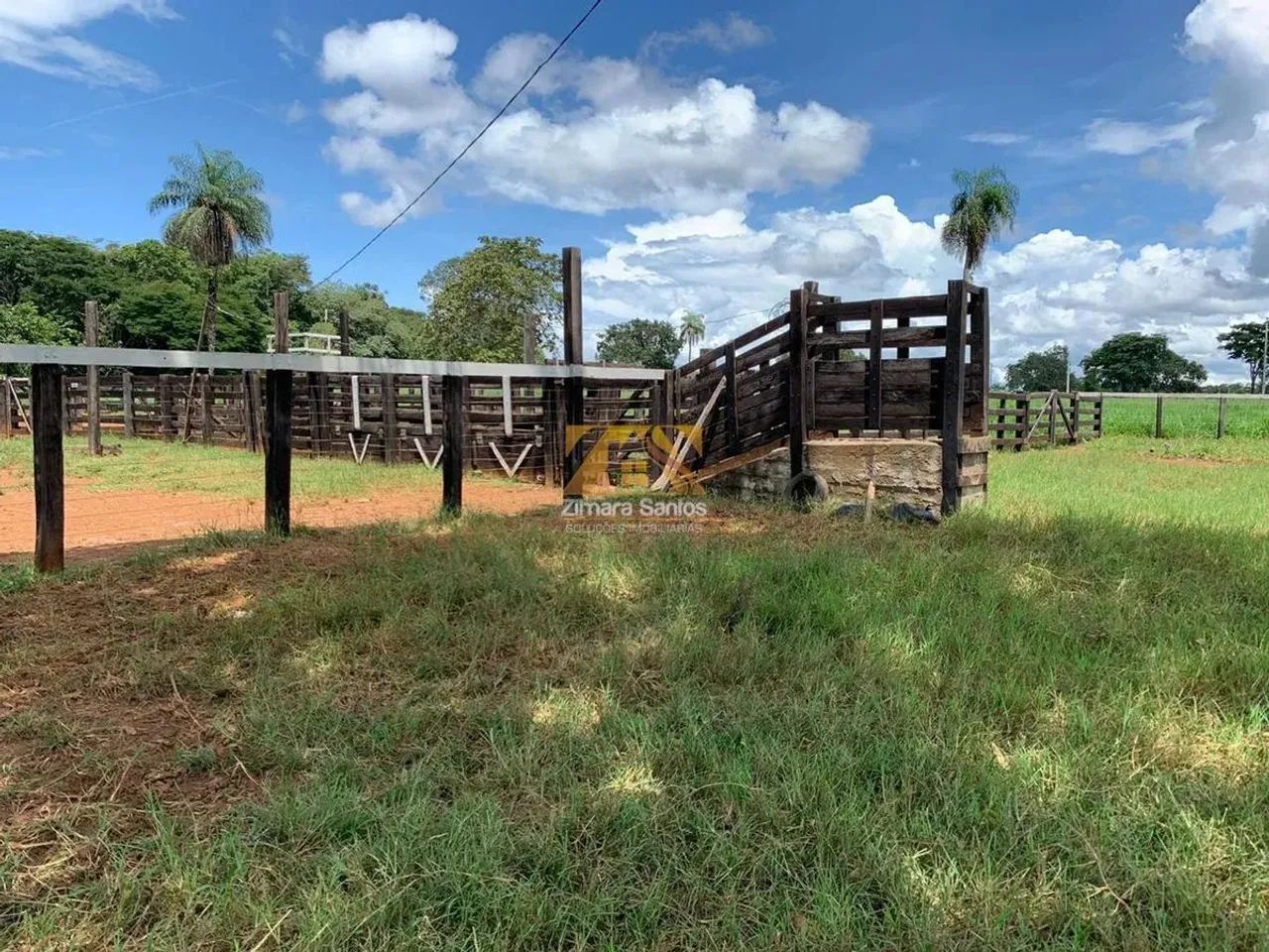 Fazenda com 53,5 Alqueires - Zona Rural - Aparecida do Rio Negro/TO - Foto 6