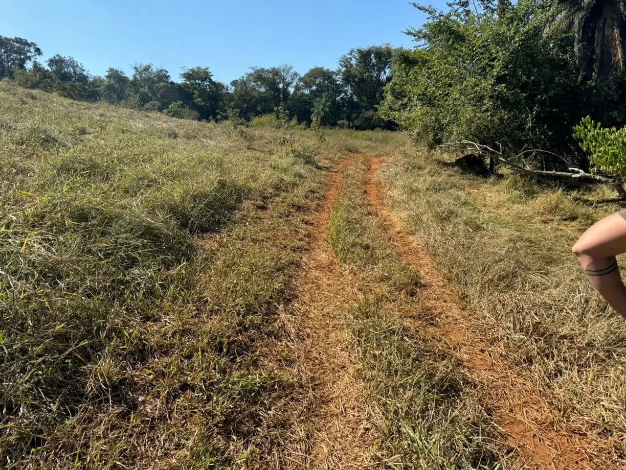 Terreno rural em juatuba  - Foto 4