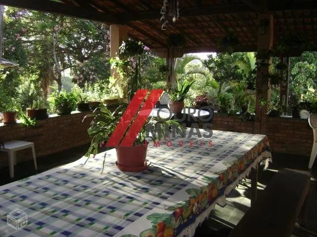 Lindo Sítio próximo ao Condomínio Aldeia do Lago - Foto 5