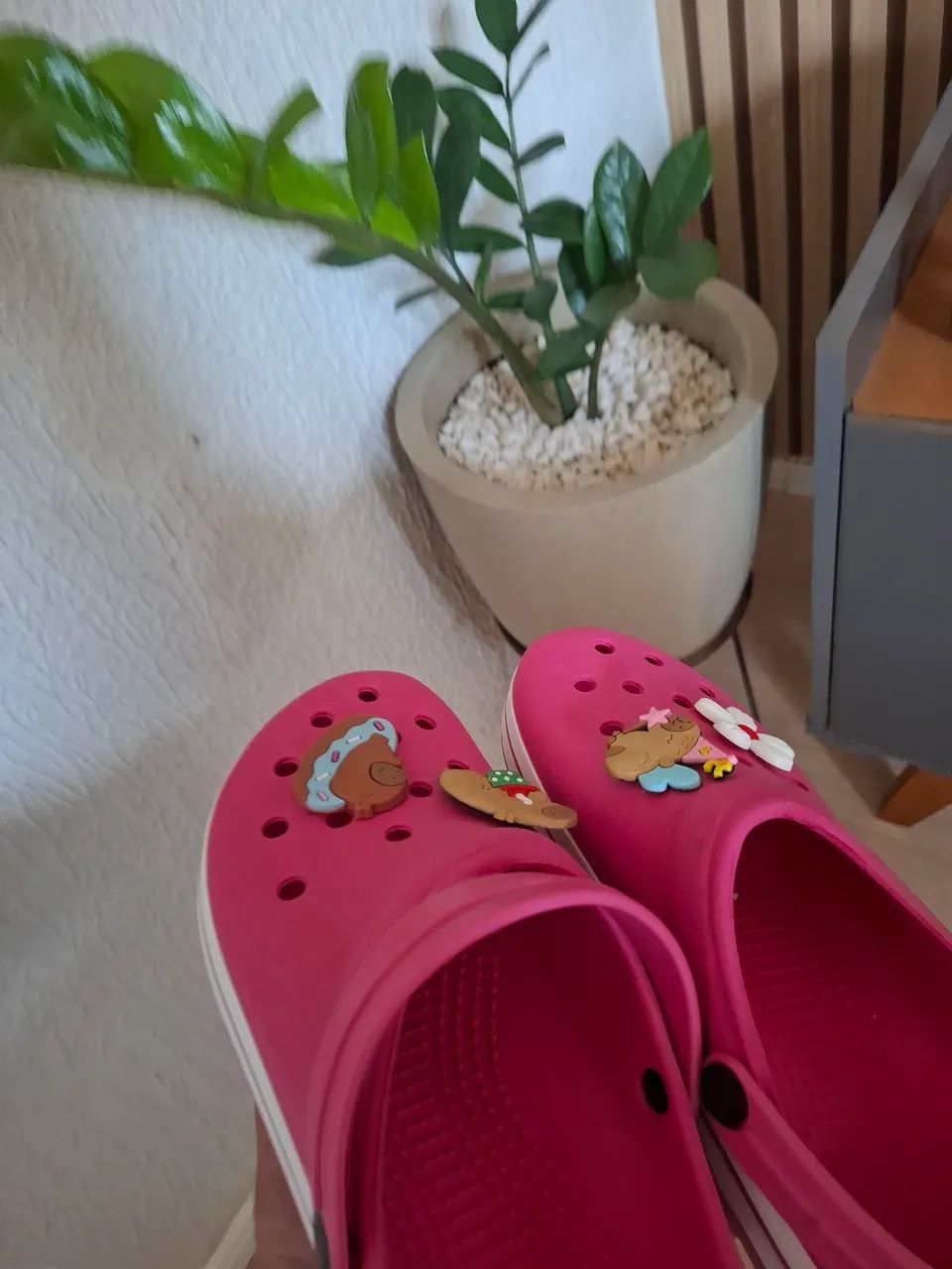 CROCS