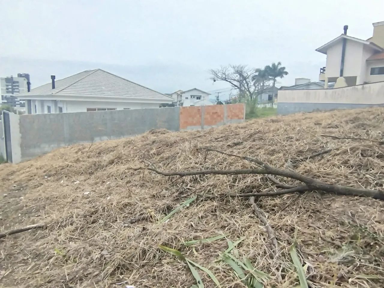 Terreno à venda Pedra Branca - Foto 4