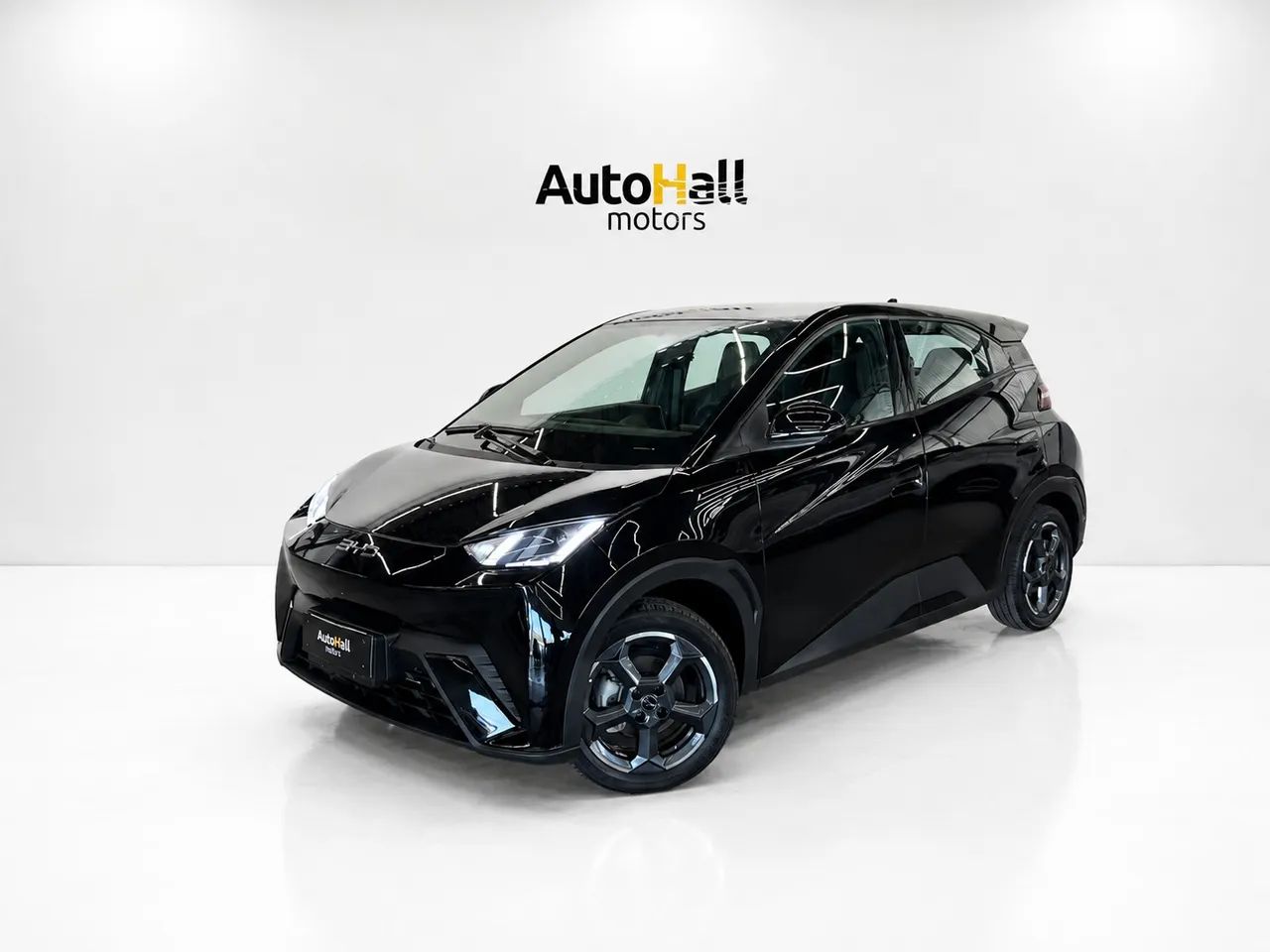 BYD Dolphin Mini (Elétrico) 2025
