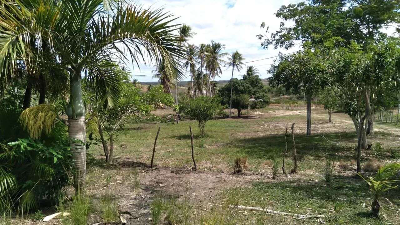 CHÁCARA À 5  KM DE MACAÍBA - Foto 3